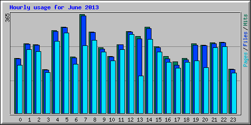 Hourly usage for June 2013