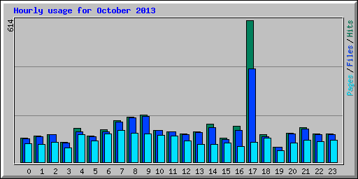 Hourly usage for October 2013