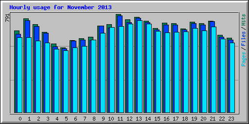 Hourly usage for November 2013