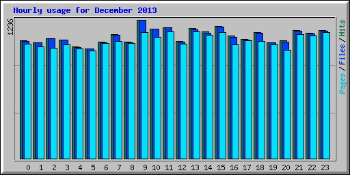 Hourly usage for December 2013