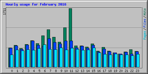 Hourly usage for February 2016