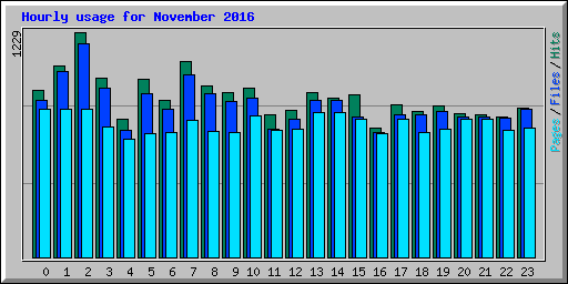 Hourly usage for November 2016