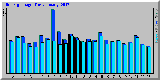 Hourly usage for January 2017