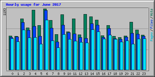 Hourly usage for June 2017